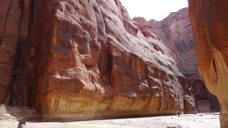 Off the Beaten Pixel: America's Most Overlooked Landscapes That Deserve a Spot on Your Screen