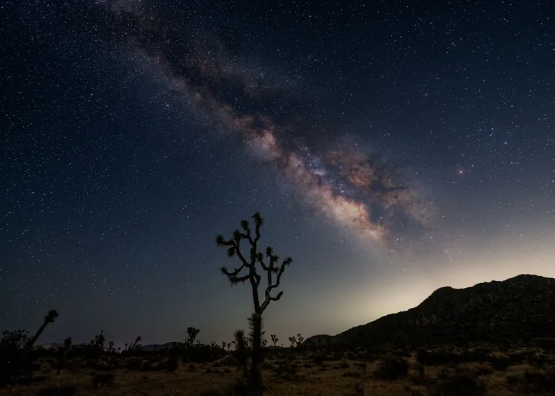 True Black, True America: Why Dark-Sky Parks Were Made for Your OLED
